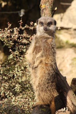 angieconscious / pixelio.de
